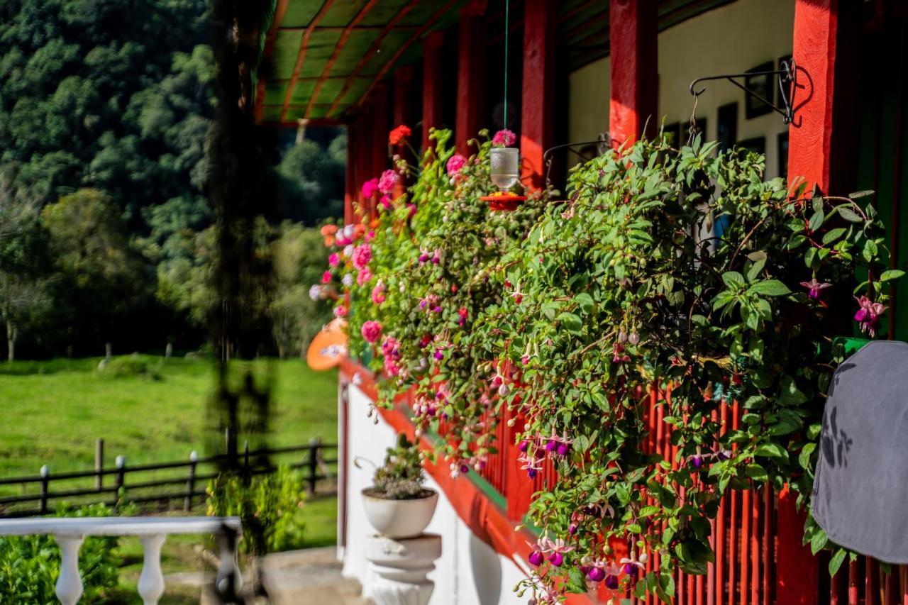 Finca La Playa Ecohotel - Experiencia Campestre - 살렌토 외부 사진