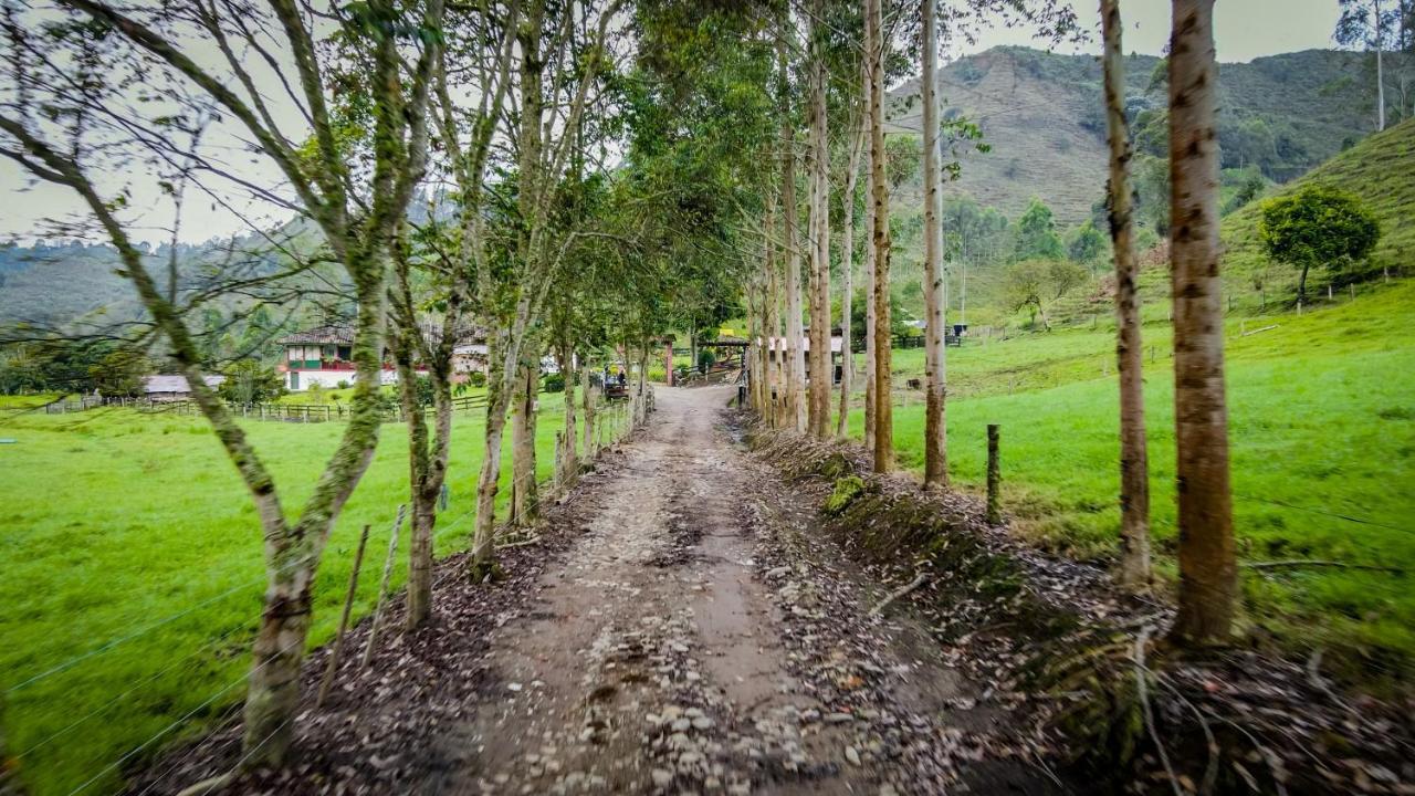 Finca La Playa Ecohotel - Experiencia Campestre - 살렌토 외부 사진