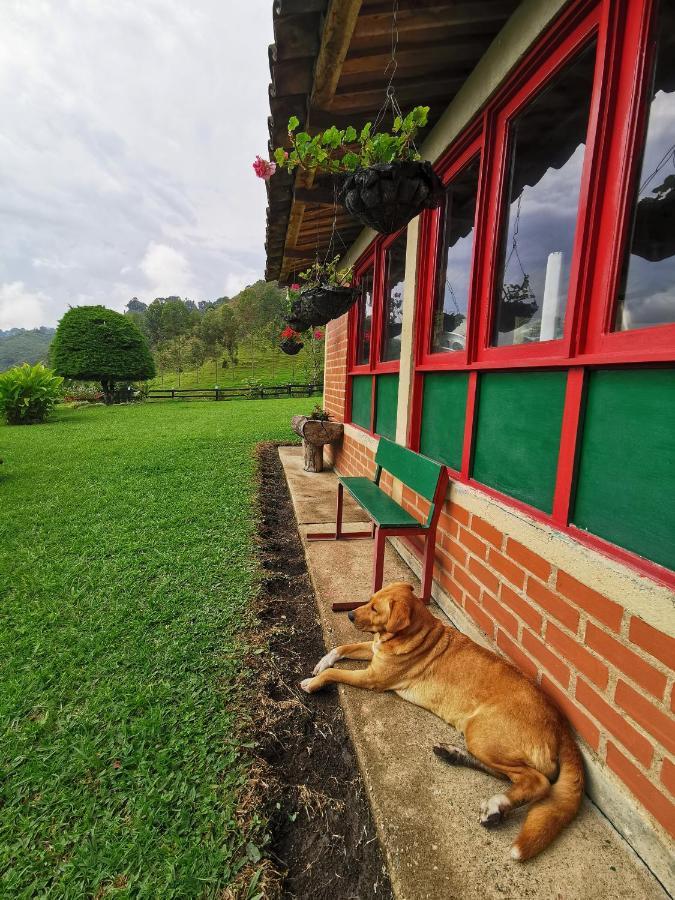 Finca La Playa Ecohotel - Experiencia Campestre - 살렌토 외부 사진
